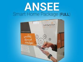 ansee-01